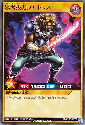 ͷåǥ奨 RDKP10-JP007 ٸȴ֥ɥå