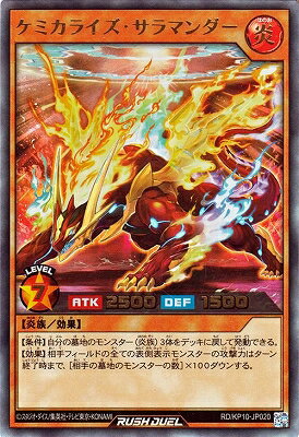 ͷåǥ奨 RDKP10-JP020 ߥ饤ޥڥȥ쥢