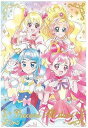 プリキュアカードウエハース9 No.21 プリキュア オールスターズ MR