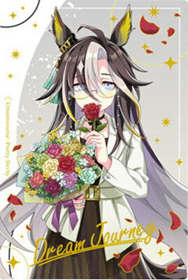 ウマ娘 プリティーダービー ツインウエハース Special R 2025 WSR2-12 ドリームジャーニー WSR