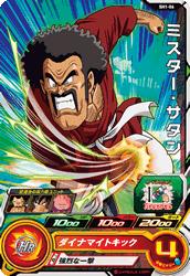 ѡɥ饴ܡҡ SH1-06 ߥ C