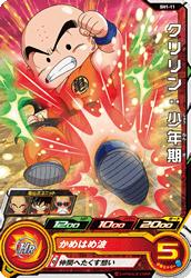 ѡɥ饴ܡҡ SH1-11 󡧾ǯ C