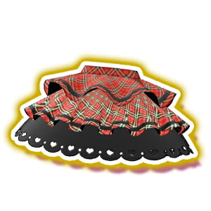 初心者による初心者のためのスカート チェック入門