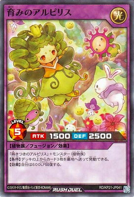 ͷåǥ奨 RD/KP21-JP041 ߤΥԥꥹ