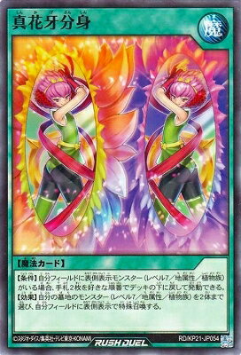 ͷåǥ奨 RD/KP21-JP054 ֲʬ