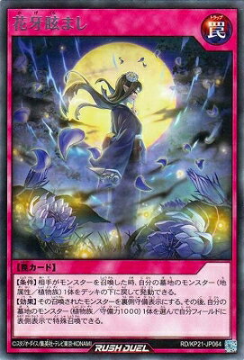 ͷåǥ奨 RD/KP21-JP064 ֲޤ R