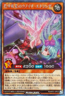 ͷåǥ奨 RD/KP21-JP012 ֲΥΥȥ󥼡ڥåȥ쥢