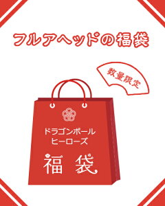 【楽天スーパーSALE】【12/10 20時より販売開始】ドラゴンボールヒーローズ福袋　10000円【後半】