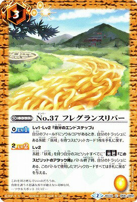 Хȥ륹ԥå BS33-068 No.37ե쥰󥹥С