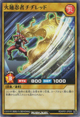 ͷåǥ奨 RDKP01-JP005 Ǧԥ¥å