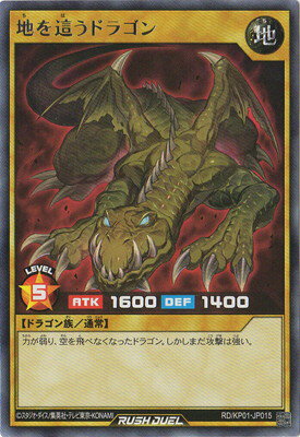 ͷåǥ奨 RDKP01-JP015 Ϥ礦ɥ饴 R