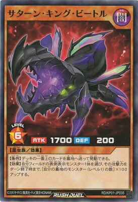 ͷåǥ奨 RDKP01-JP035 󡦥󥰡ӡȥ