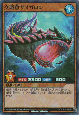 ͷåǥ奨 RDKP01-JP036 ᥬڥѡ쥢