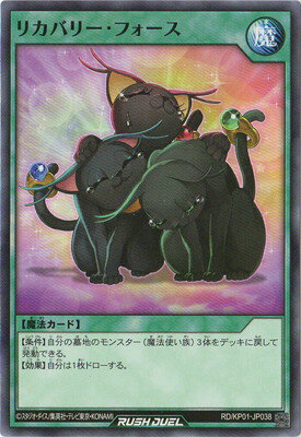 ͷåǥ奨 RDKP01-JP038 ꥫХ꡼ե