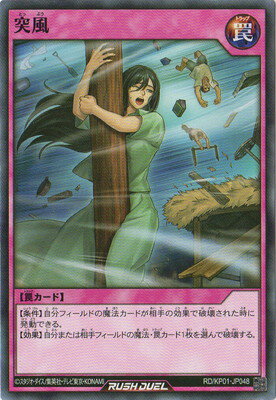 ͷåǥ奨 RDKP01-JP048 
