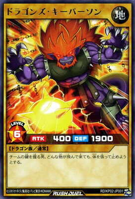 ͷåǥ奨 RDKP02-JP001 ɥ饴󥺡ѡ R