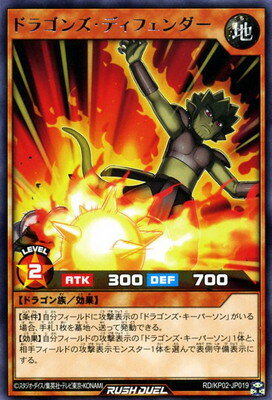 ͷåǥ奨 RDKP02-JP019 ɥ饴󥺡ǥե R