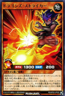 ͷåǥ奨 RDKP02-JP020 ɥ饴󥺡ȥ饤 R