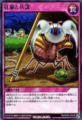 ͷåǥ奨 RDKP02-JP046 ˽ȶ R