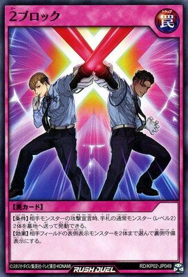 ͷåǥ奨 RDKP02-JP049 2֥å