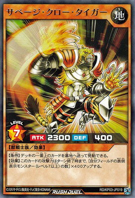 ͷåǥ奨 RDKP03-JP019 ١ R