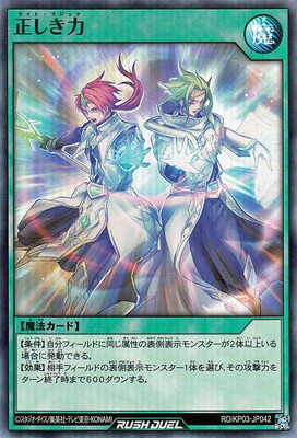 ͷåǥ奨 RDKP03-JP042 ϡڥѡ쥢