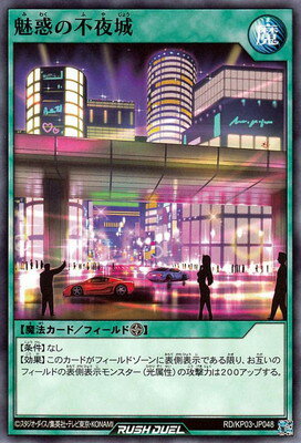 ͷåǥ奨 RDKP03-JP048 ̥Ǥ