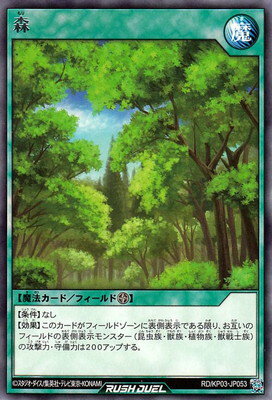 ͷåǥ奨 RDKP03-JP053  R