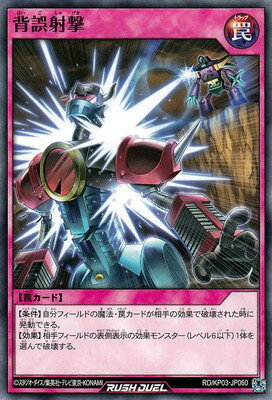 ͷåǥ奨 RDKP03-JP060 ظͷ