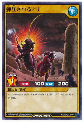 ͷåǥ奨 RDKP04-JP007 ư륢