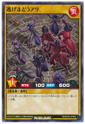 ͷåǥ奨 RDKP04-JP009 ƨޤɤ