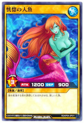 ͷåǥ奨 RDKP04-JP011 ο͵