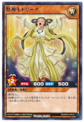 ͷåǥ奨 RDKP04-JP019 ׿ɥ꡼ R