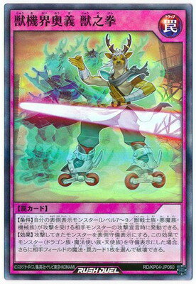 ͷåǥ奨 RDKP04-JP060 õ Ƿڥѡ쥢