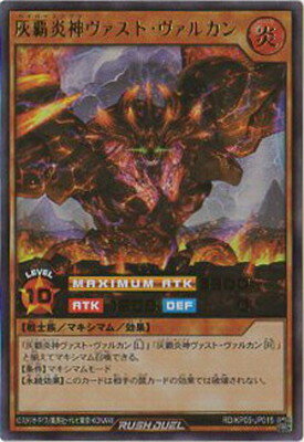 ͷåǥ奨 RDKP05-JP015 Ʊȡ륫ڥȥ쥢