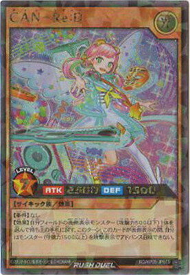 ͷåǥ奨 RDKP05-JP019 CAN−ReDڥå쥢