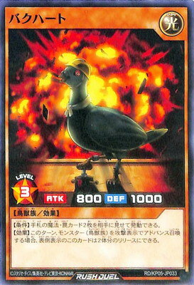 ͷåǥ奨 RDKP05-JP033 Хϡ