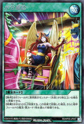 ͷåǥ奨 RDKP05-JP047 ʬ R