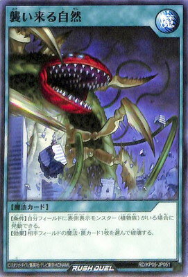 ͷåǥ奨 RDKP05-JP051 뼫