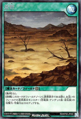 ͷåǥ奨 RDKP05-JP054  R