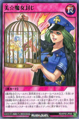 ͷåǥ奨 RDKP05-JP055 