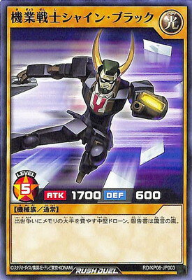 ͷåǥ奨 RDKP06-JP003 Υ㥤󡦥֥å