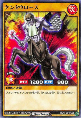 ͷåǥ奨 RDKP06-JP005 󥿥