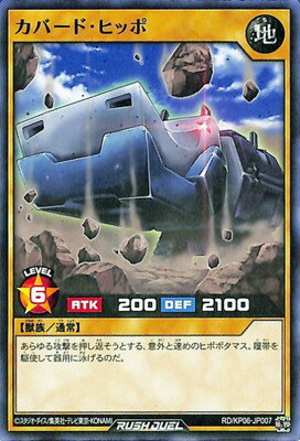 ͷåǥ奨 RDKP06-JP007 Сɡҥå