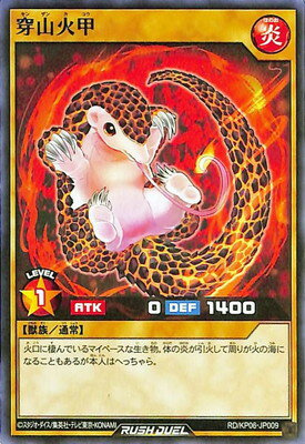 ͷåǥ奨 RDKP06-JP009 й