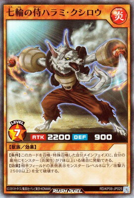 ͷåǥ奨 RDKP06-JP025 ؤλϥߡڥѡ쥢