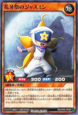 ͷåǥ奨 RDKP06-JP029 ֲפΥ㥹ߥ