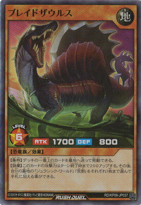 ͷåǥ奨 RDKP06-JP037 ֥쥤ɥ륹ڥѡ쥢