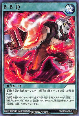 ͷåǥ奨 RDKP06-JP049 BBQ
