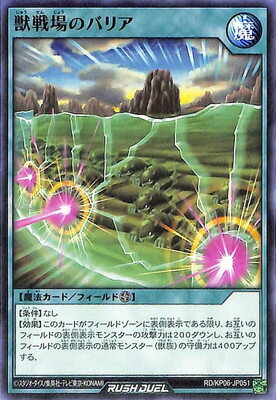ͷåǥ奨 RDKP06-JP051 ΥХꥢ